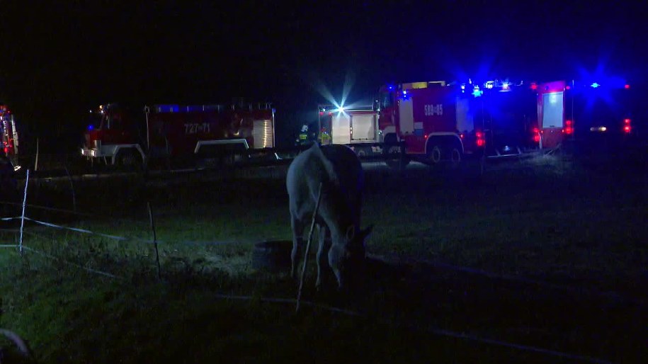 Z pożaru udało się uratować 9 koni /TVN24/x-news