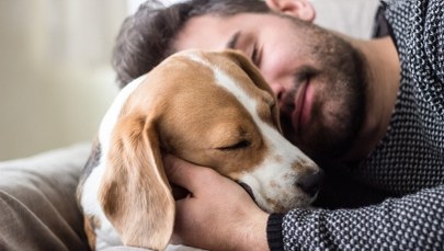 Z psem lepiej się wyśpisz!