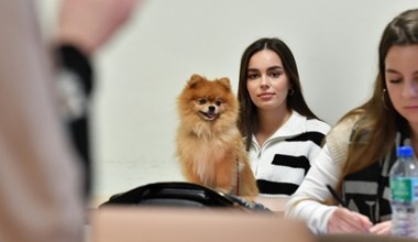Z psem na uczelnię. Polski uniwersytet prowadzi wyjątkowe badania