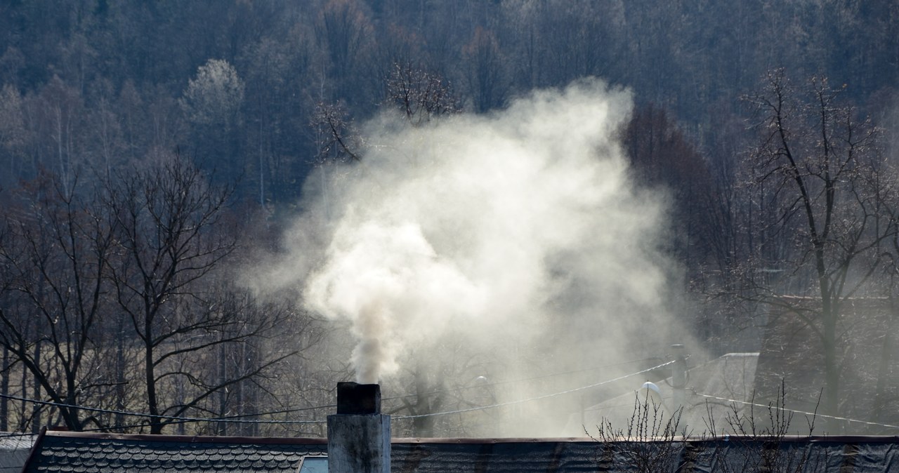 Z raportu SmogLab wynika, że w łódzkich budynkach miejskich jest najwięcej tzw. kopciuchów /123RF/PICSEL