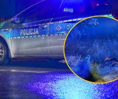 Z rowu wystawała ludzka ręka. W porę nadeszła pomoc