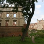 inwestycje Z ruiny w perłę Lubelszczyzny? Miliony na rewitalizację Zamku w Krupem