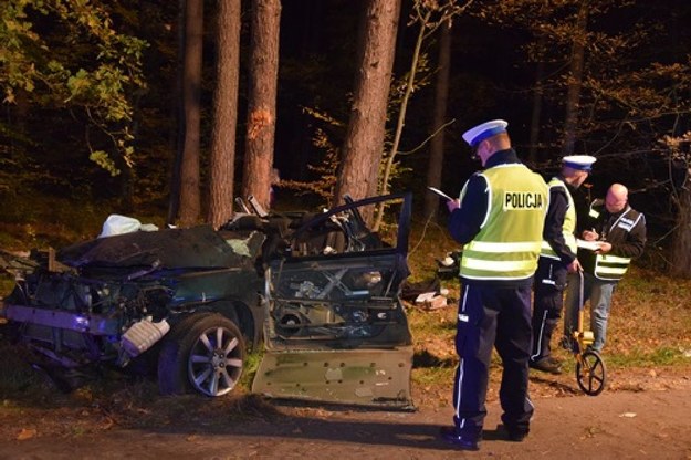 Z samochodu, który uderzył w drzewo niewiele zostało /Policja /Policja