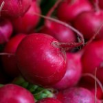 Z sezonu na polską rzodkiewkę korzystam w pełni. Wspiera układ pokarmowy i wymiata wolne rodniki