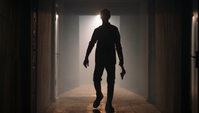 Z siekierą ruszył na policjantów