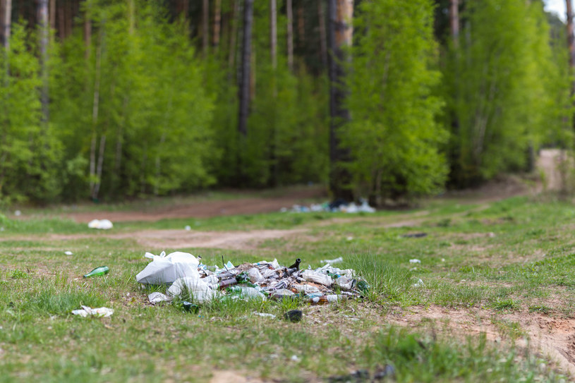 Z Tatrzańskiego Parku Narodowego co roku trzeba usunąć kilkaset metrów sześciennych odpadów pozostawianych przez turystów /123RF/PICSEL