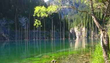 Z tego jeziora wyrasta martwy las. To efekt trzęsienia ziemi sprzed 100 lat