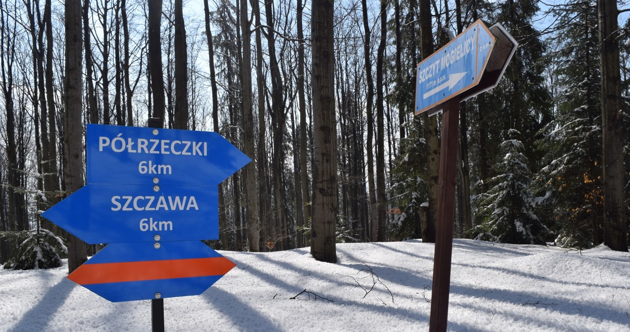 Z tego miejsca do szczytu Mogielicy sa jeszcze 2 kilometry /EKM /INTERIA.PL