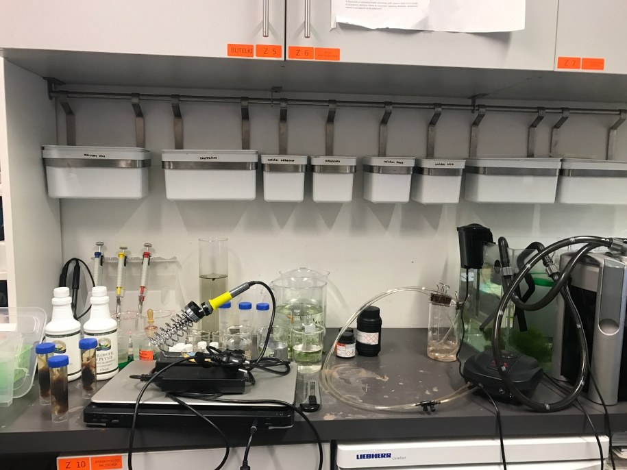 Z tego miejsca koordynowana jest praca nad wszystkimi urządzeniami-eksponatami w CN Kopernik. Jest tam nawet wykrywacz kłamstw! /Michał Dobrołowicz /RMF FM