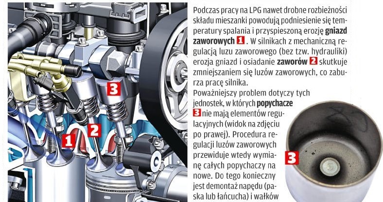 Z tym mogą być kłopoty przy zasilaniu LPG /Motor