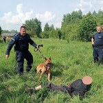 Z widłami na policjantów. Funkcjonariusze użyli paralizatora