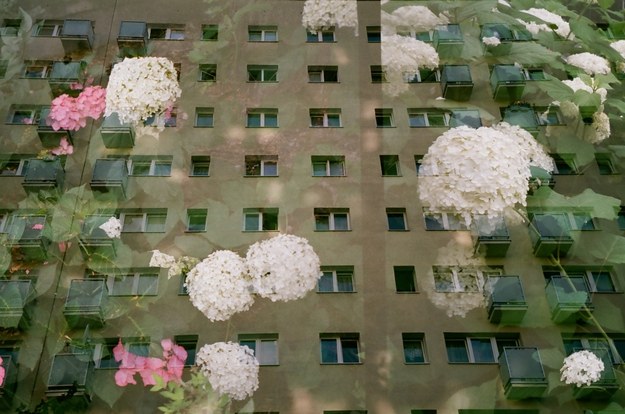 Z wystawy „Lost Homes Miesiąca Fotografii w Mińsku /materiały prasowe /Materiały prasowe