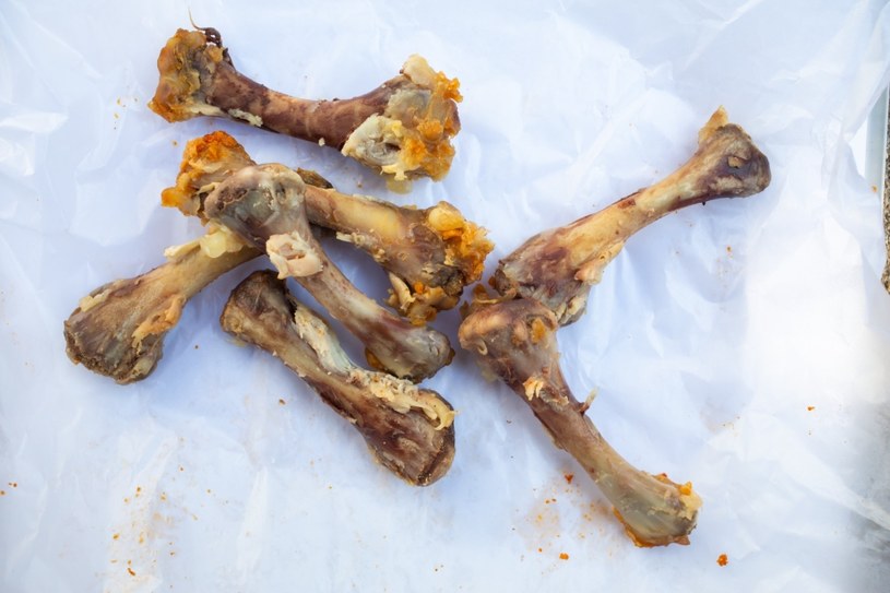 Z wysuszonych kości kurczaka można przygotować nawóz do storczyków /123RF/PICSEL