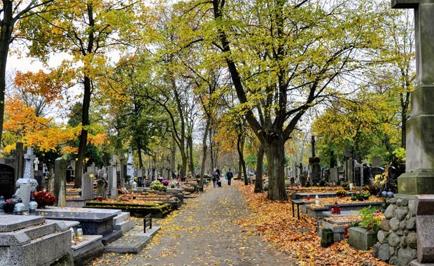 Za 10 lat może zabraknąć miejsc na cmentarzach. Pilnie potrzebna nowa ustawa 
