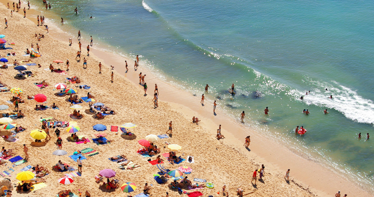 Za co można dostać mandat na plaży? /123RF/PICSEL