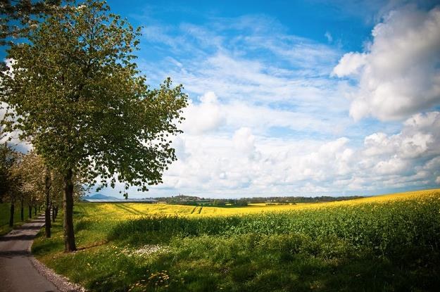 Za hektar dobrej ziemi trzeba już płacić 40 tys. zł /&copy;123RF/PICSEL