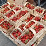 Za ile kupimy pierwsze polskie truskawki? "Koszty są odstraszające dla producentów"