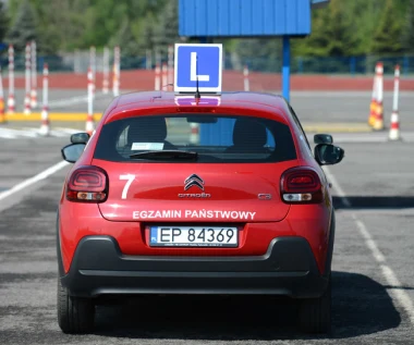Za kierownicę zaraz po egzaminie. Prawo jazdy na 30 dni w mObywatelu 