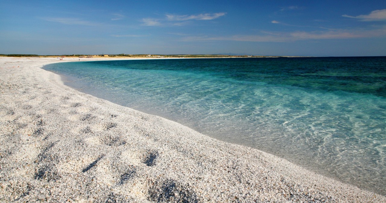 Za kradzież piasku z włoskiej plaży można słono zapłacić /Marco Simonini/UIG Nature Environment/East News /East News