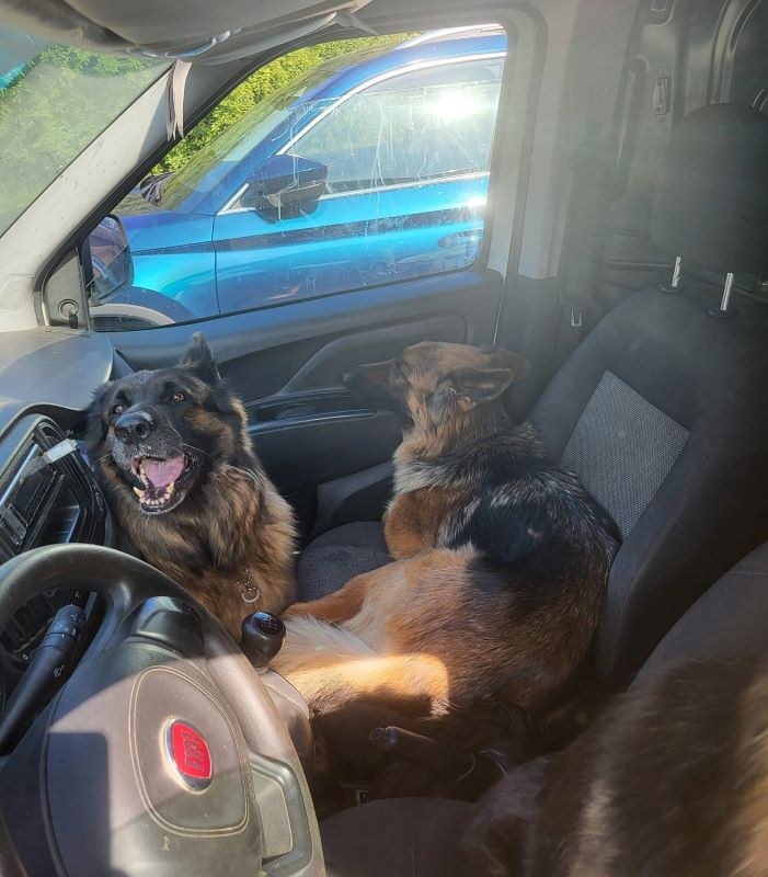 Za narażenie zwierząt na utratę życia lub zdrowia, zgodnie z Ustawą o Ochronie Zwierząt, grozi kara pozbawienia wolności do lat trzech /KMP Gdynia /