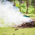 Za palenie gałęzi na działce może być kara. Jak zrobić to bez mandatu?