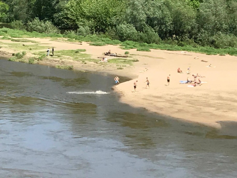 Za pływanie w Wiśle grozi mandat /pm /RMF FM