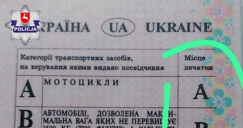 Za posługiwanie się podrobionym prawem jazdy mężczyźnie grozi do 5 lat pozbawienia wolności /Policja Lubelska /Policja