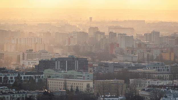 Za smog coraz częściej chcemy pozywać Skarb Państwa i samorządy /MondayNews