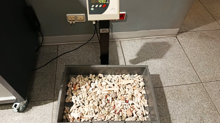 Za taki nielegalny przewóz grożą surowe kary zgodnie z prawem /Krajowa Administracja Skarbowa