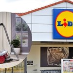 Za ten odkurzacz zapłacisz 50 zł mniej. Lidl oferuje niewiarygodną promocję!