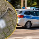 Zaatakował łomem, groził śmiercią. Policjanci musieli użyć broni 