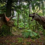 Zaatakował wielki tyranozaur. Widzimy siłę ataku. To oszustwo mogło działać