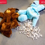 Zabawki, a w środku żywe mrówki. Przemyt udaremniony