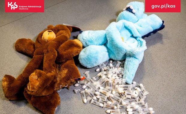 Zabawki, a w środku żywe mrówki. Przemyt udaremniony