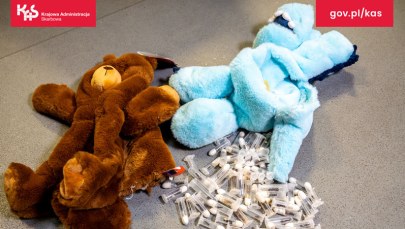 Zabawki, a w środku żywe mrówki. Przemyt udaremniony