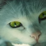 Zabawy kota z laserem w aktorskim zwiastunie Ghost Recon: Wildlands