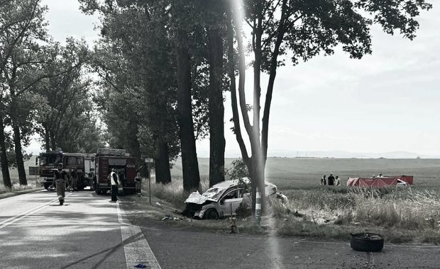 Zabici i ranni. Tragiczny wypadek na Opolszczyźnie