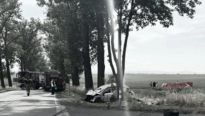 Zabici i ranni. Tragiczny wypadek na Opolszczyźnie
