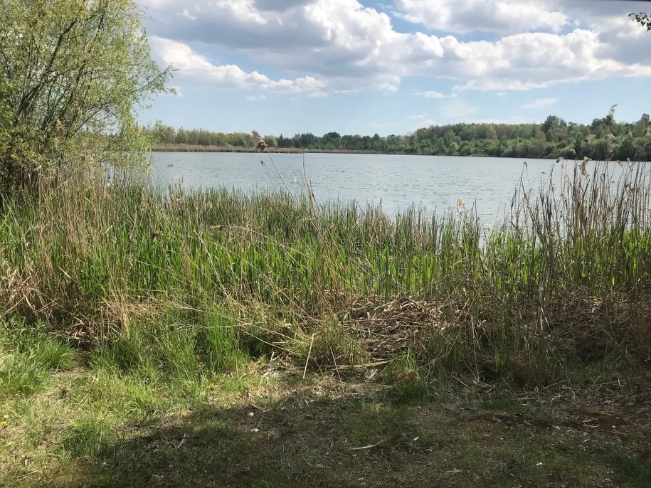 Żabie Doły /Marcin Buczek /RMF FM