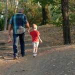 Zabierz je z lasu, włóż do piekarnika i zrób naturalny odświeżacz powietrza