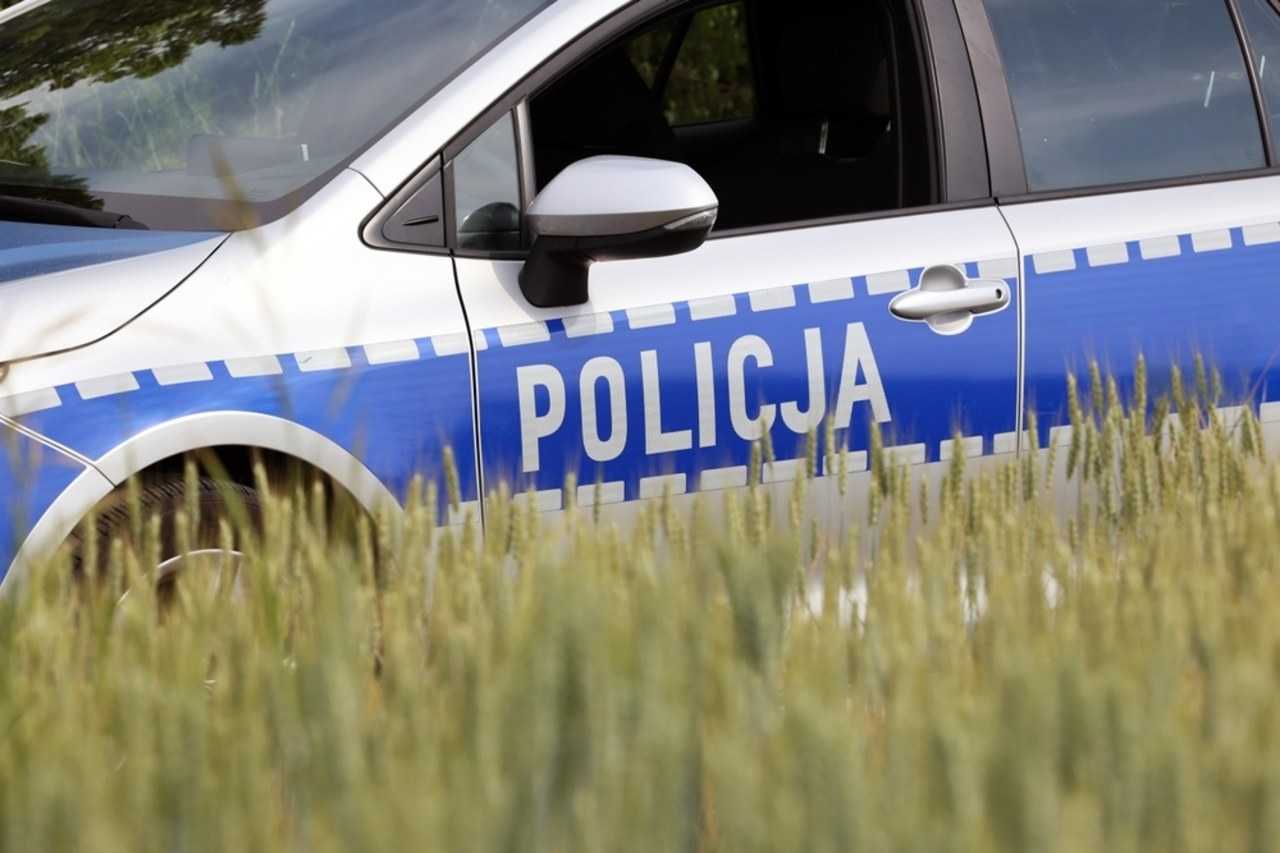 Zabił matkę, potem próbował udusić inną kobietę. Nowe informacje ws. ataku w krakowskim parku