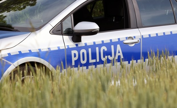 Zabił matkę, potem próbował udusić inną kobietę. Nowe informacje ws. ataku w krakowskim parku