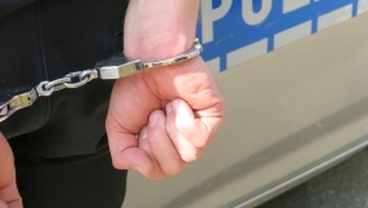 Zabił psa siekierą, bo ten szczekał. 48-latek usłyszał już zarzuty