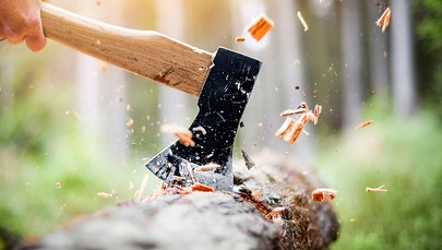 Zabił siekierą śpiącego znajomego. 64-latek z zarzutami