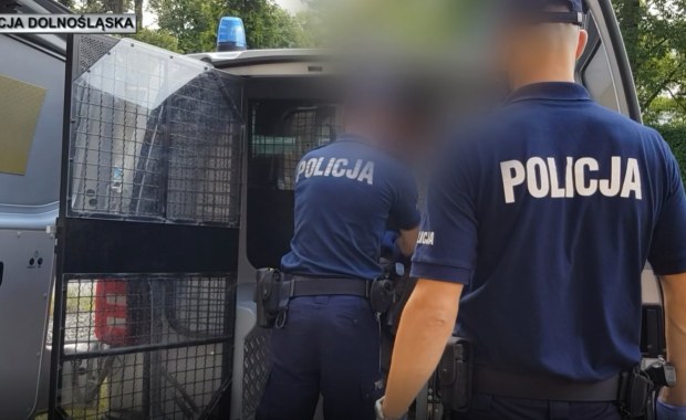 Ząbkowice Śląskie: Zarzut za potrącenie 2-latka i ucieczkę. "Nie widziałem pieszych"