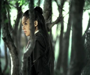 "Zabójczyni" [recenzja]: Galeria wuxia