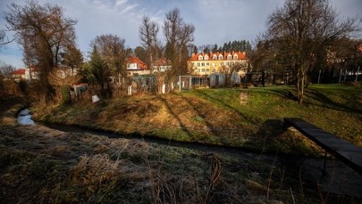 Zabójstwo 11-latki w Jeleniej Górze. Co dalej z zatrzymaną 12-latką? 