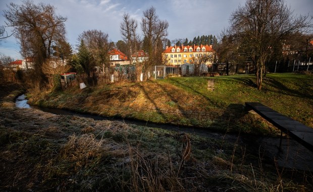 Zabójstwo 11-latki w Jeleniej Górze. Policja wysłuchała zatrzymaną 12-latkę