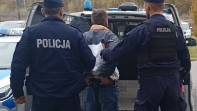 Zabójstwo na terenie ogródków działkowych. 38-latek aresztowany