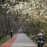 Zabójstwo w parku na Zdrowiu w Łodzi. Umorzono śledztwo, sprawca wciąż nieznany